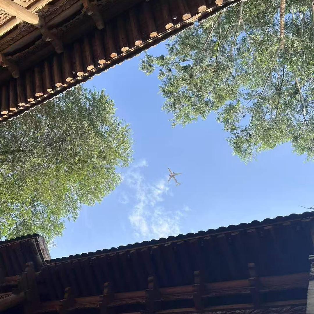 吥惪
