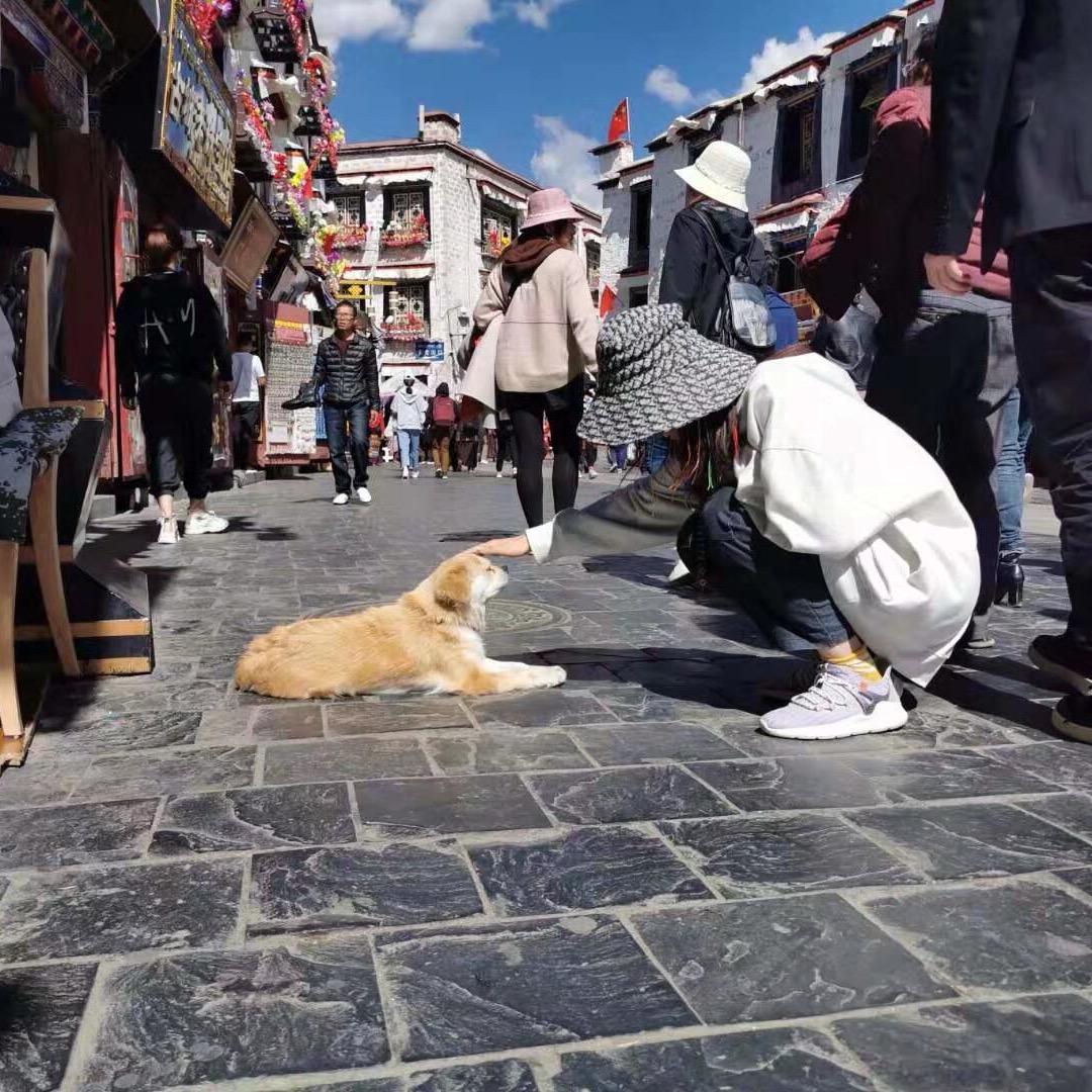 王可可