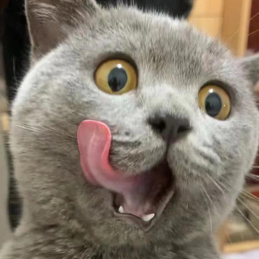 普普普