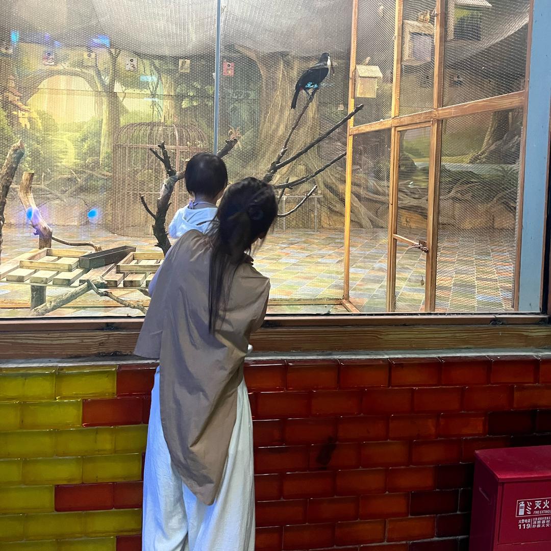 沛县 梦梦烤冷面