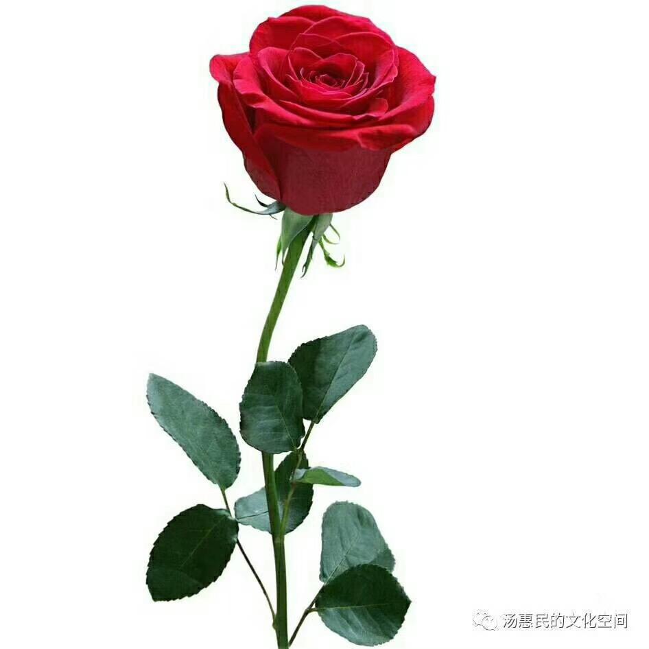 伊然。