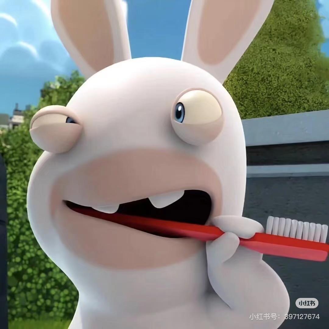 🐰