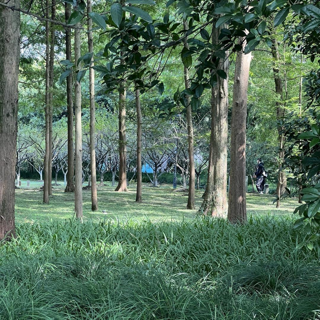 友良清仓