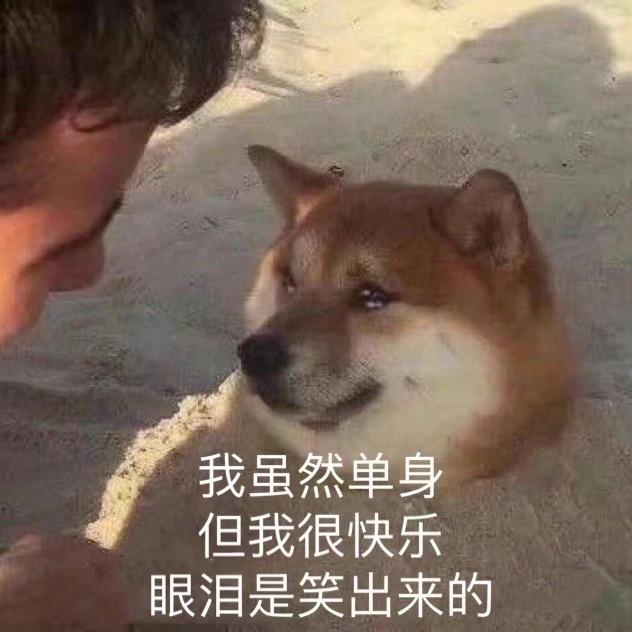 每天都要疯狂干饭