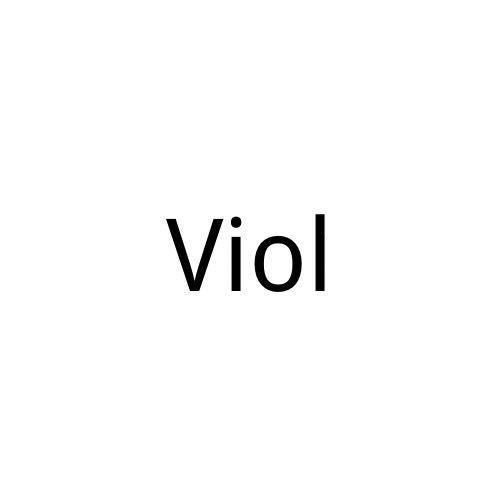 Violshop服饰箱包