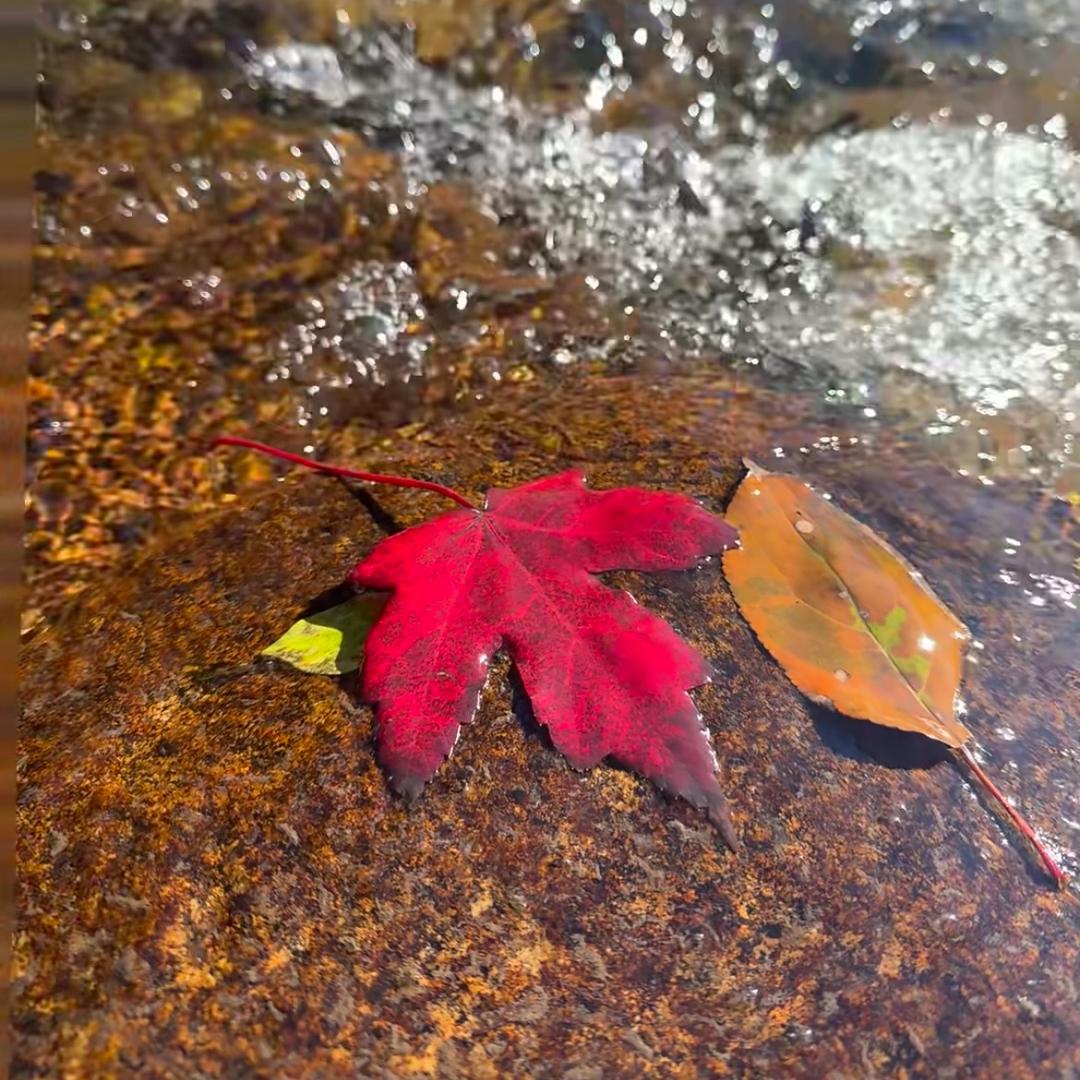 ౪ᩚ天ᐝCHengഒᩚ ོ࿐