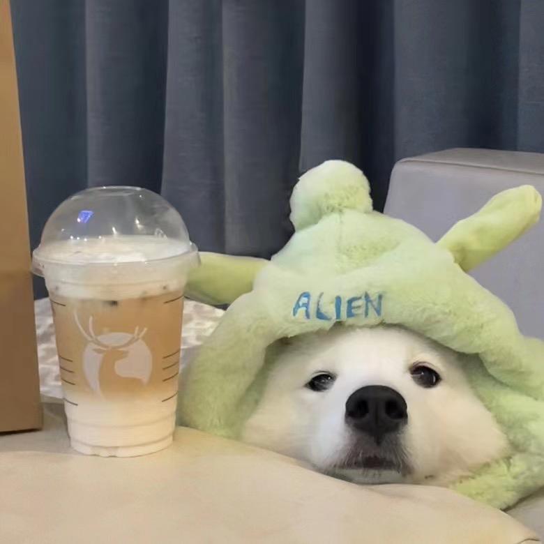 湫湫