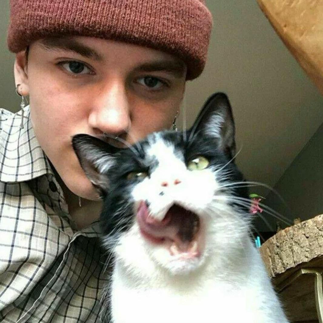 ily