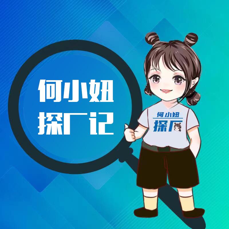 何小妞探厂