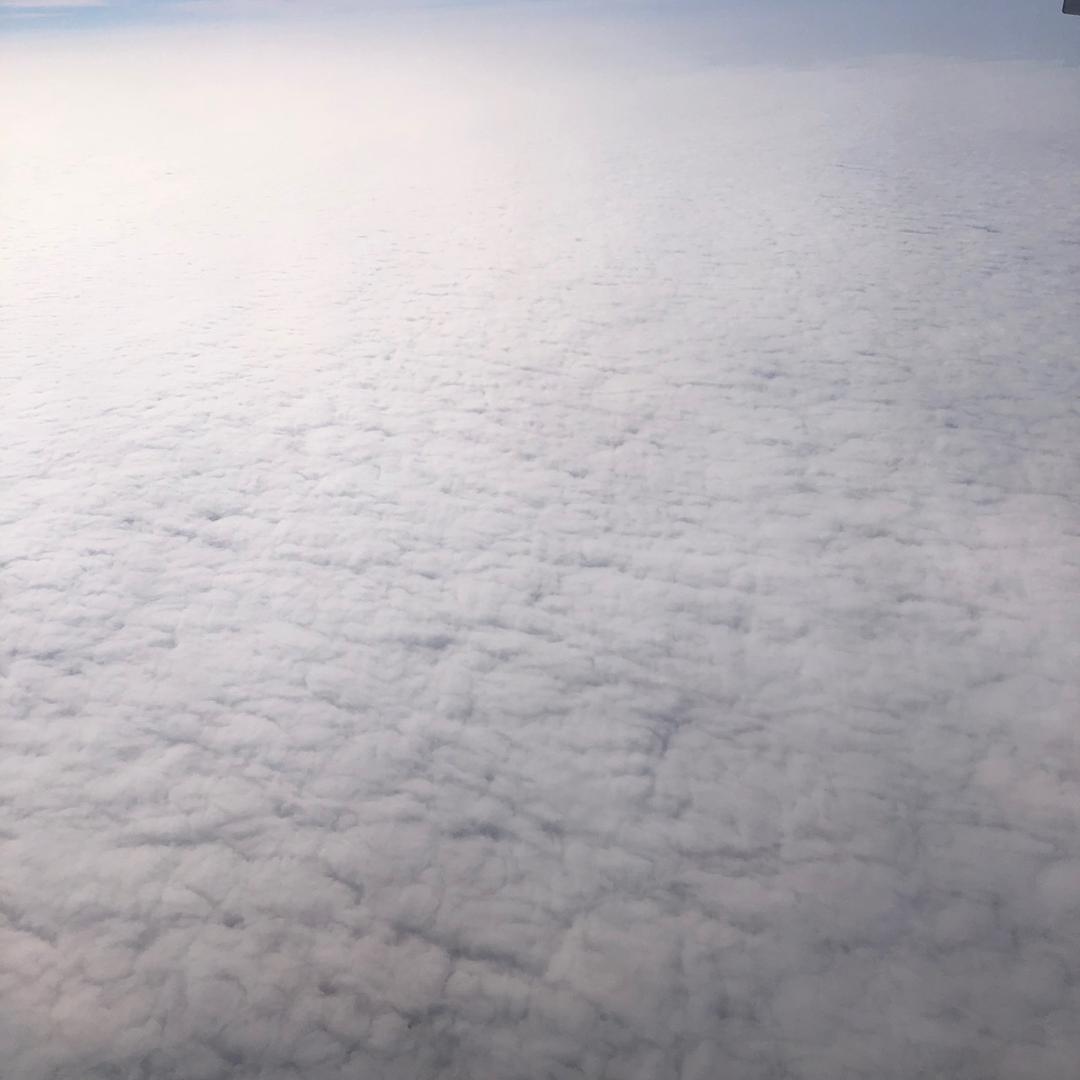 红太阳.