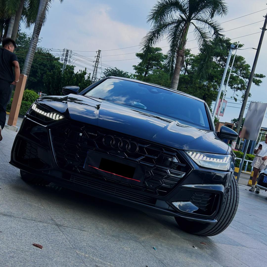 aodi 德系升级  灰猫