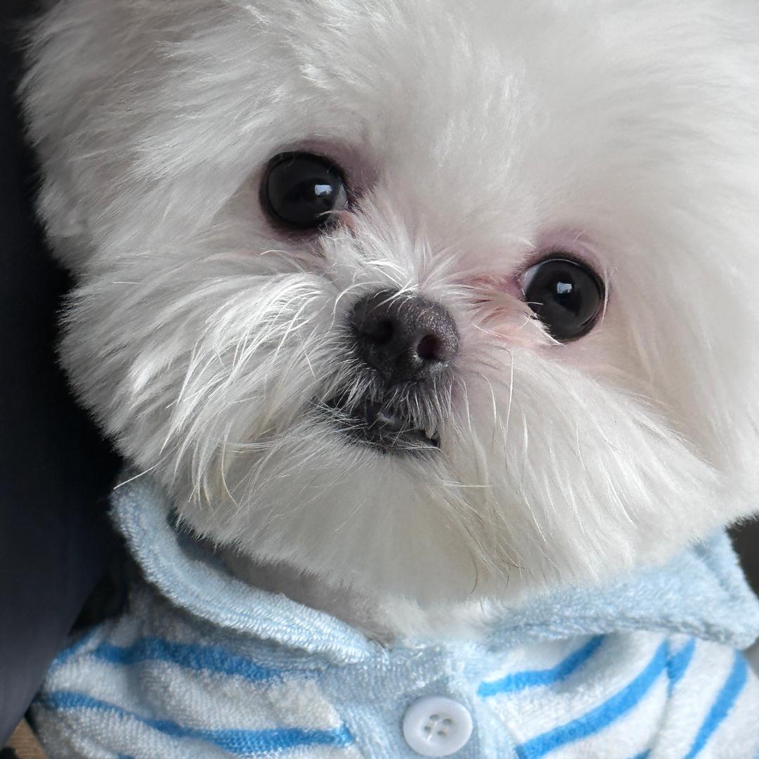 我不是蚊子