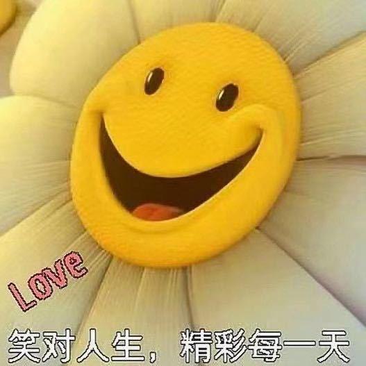 生如夏花