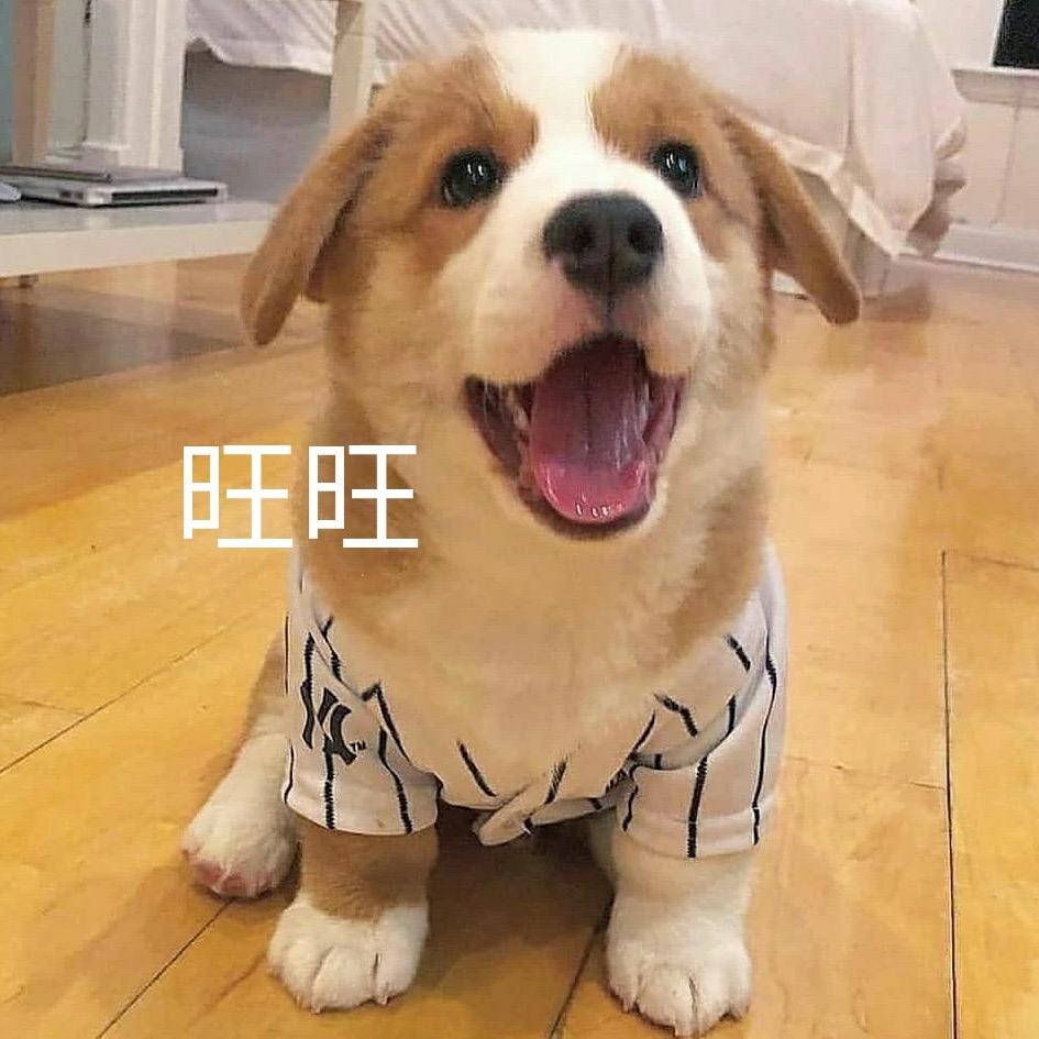 汪汪先呗