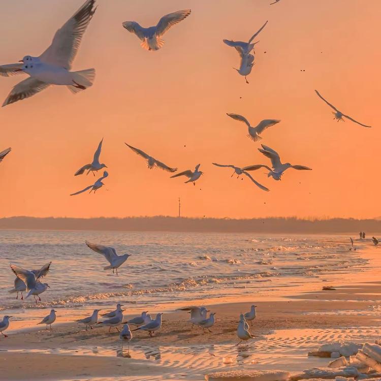 盘锦市兴隆台区酷鲁百货店（个体工商户）