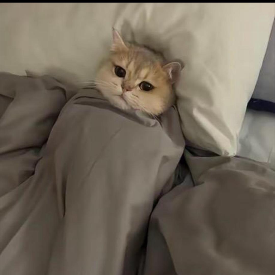我不吃瓜