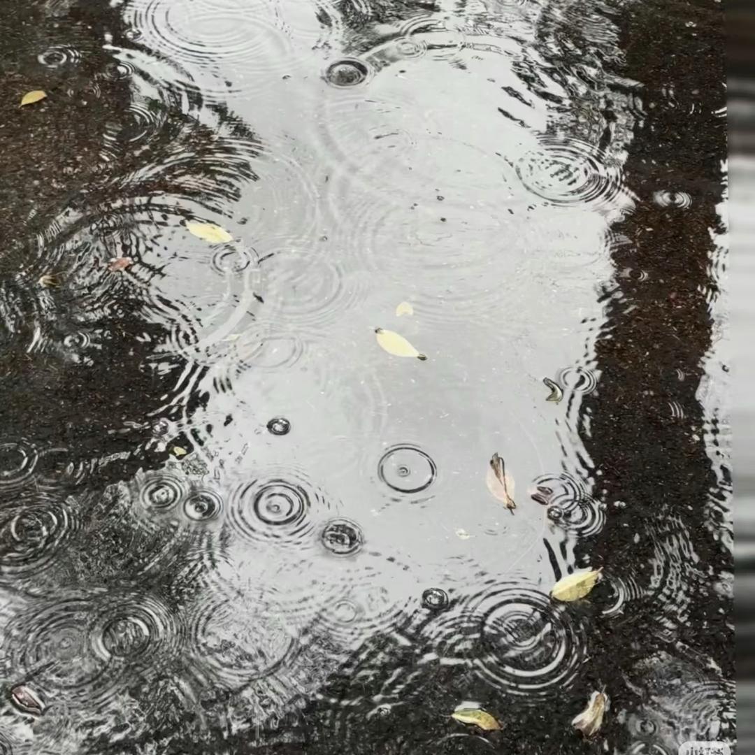 曾曾日上↑