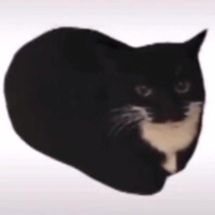 老白呀
