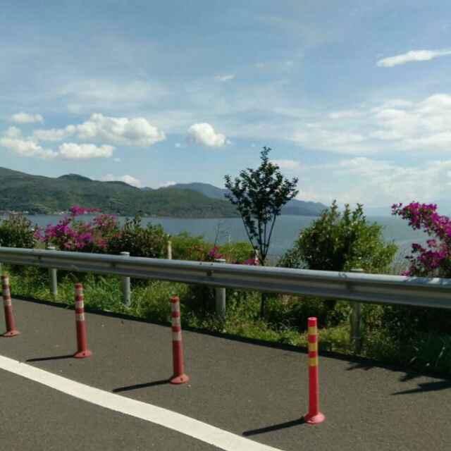花儿