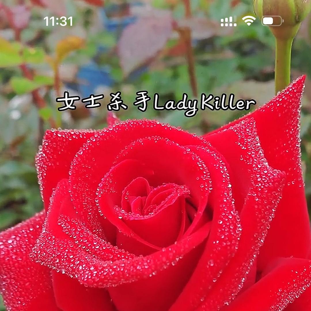 十里飘香园艺