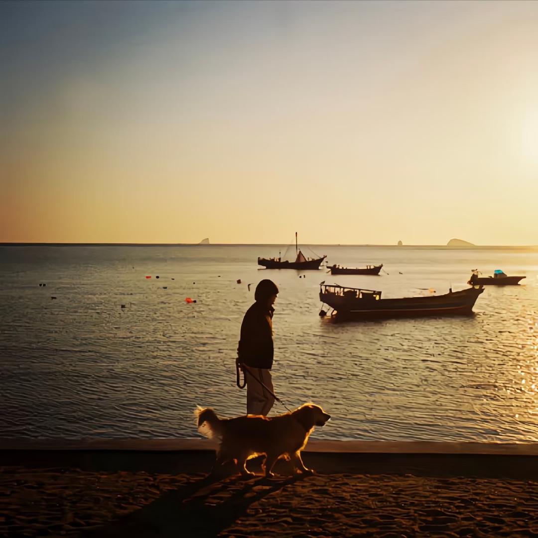 人生海海
