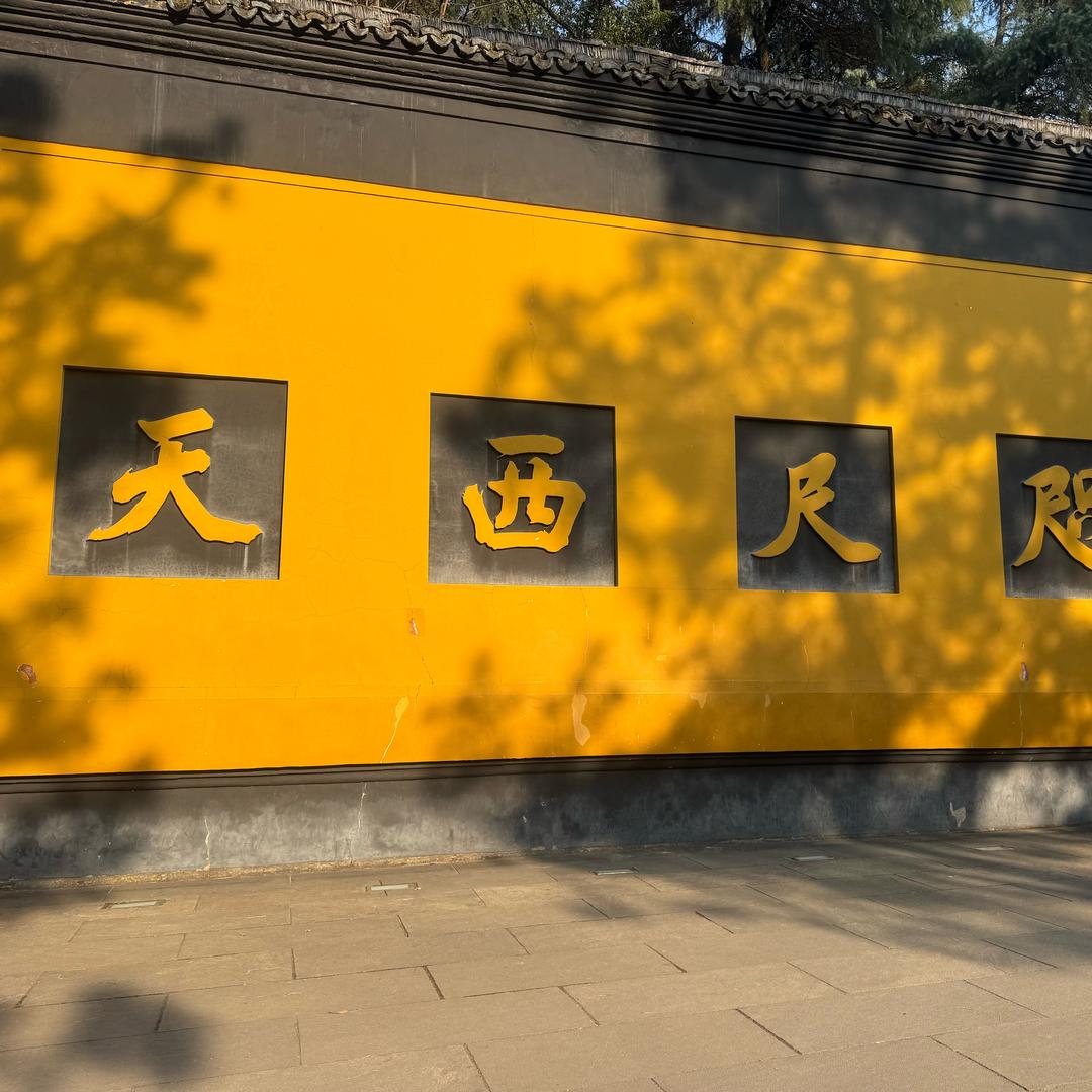明天会更好