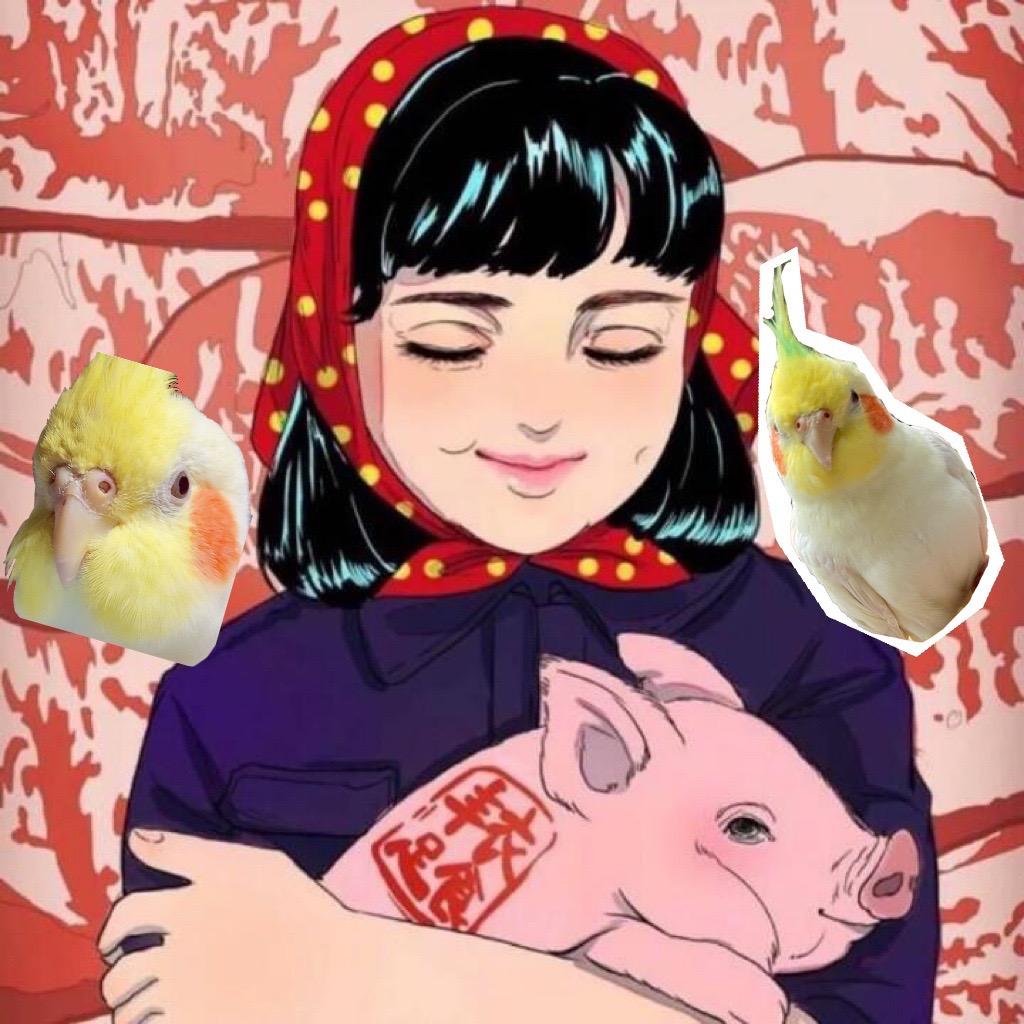 土豆心心