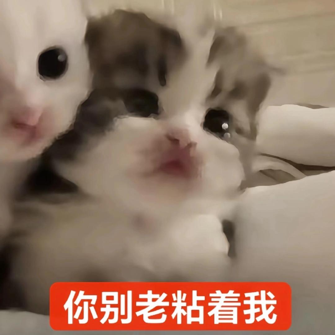 孤独中的星光