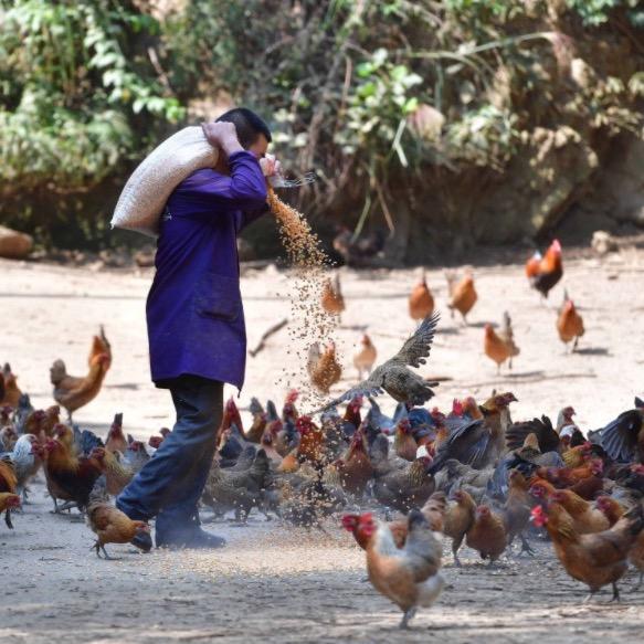 渔民老相-茂简商贸