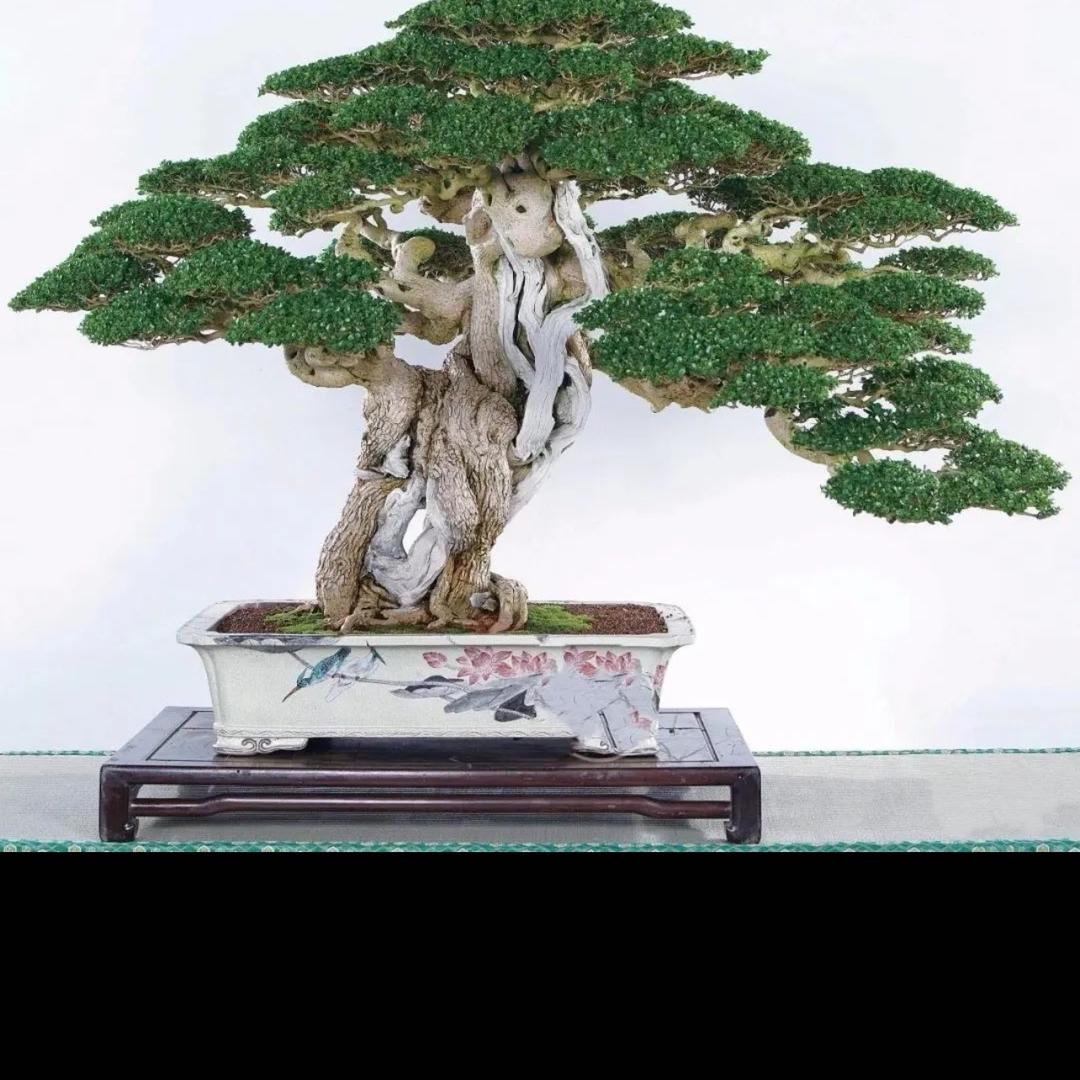 风夕花花卉小铺