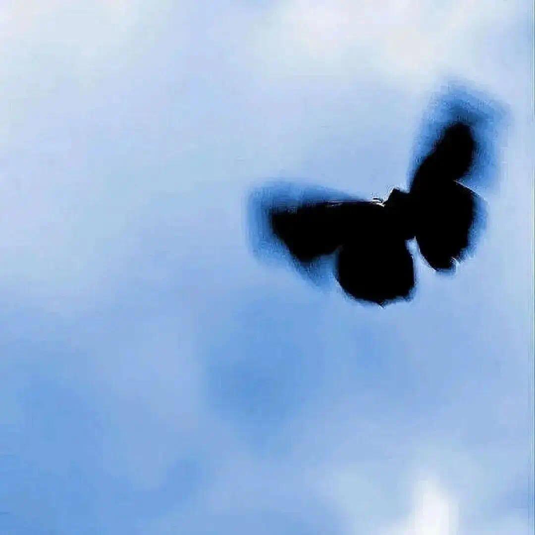 不是温柔