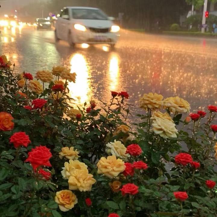 悠悠的