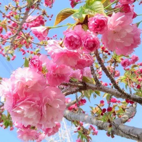 静静等待