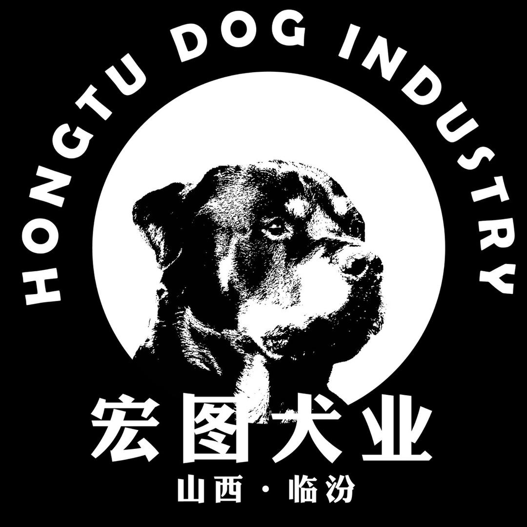 宏图犬业（杜宾）