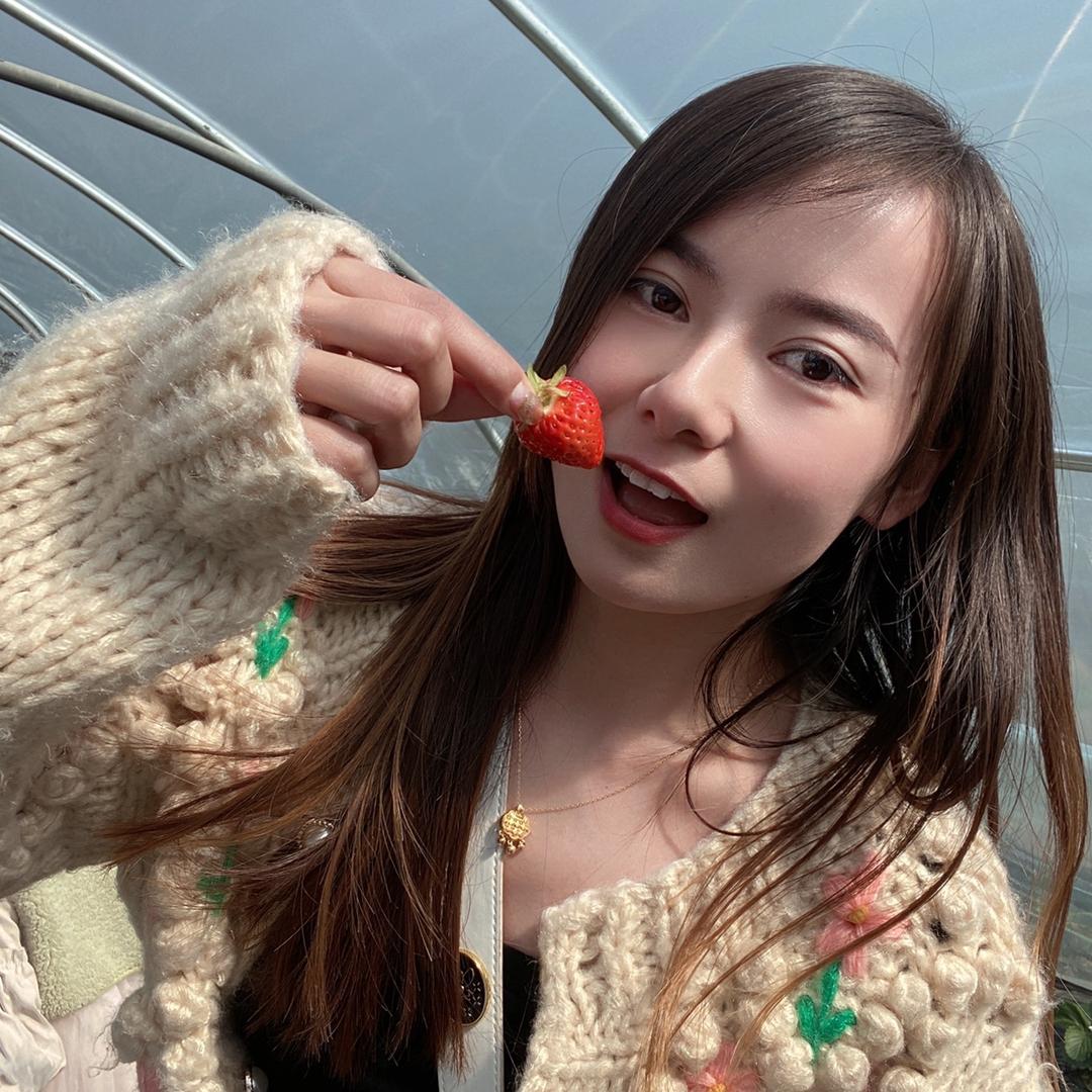 燕姐姐呀