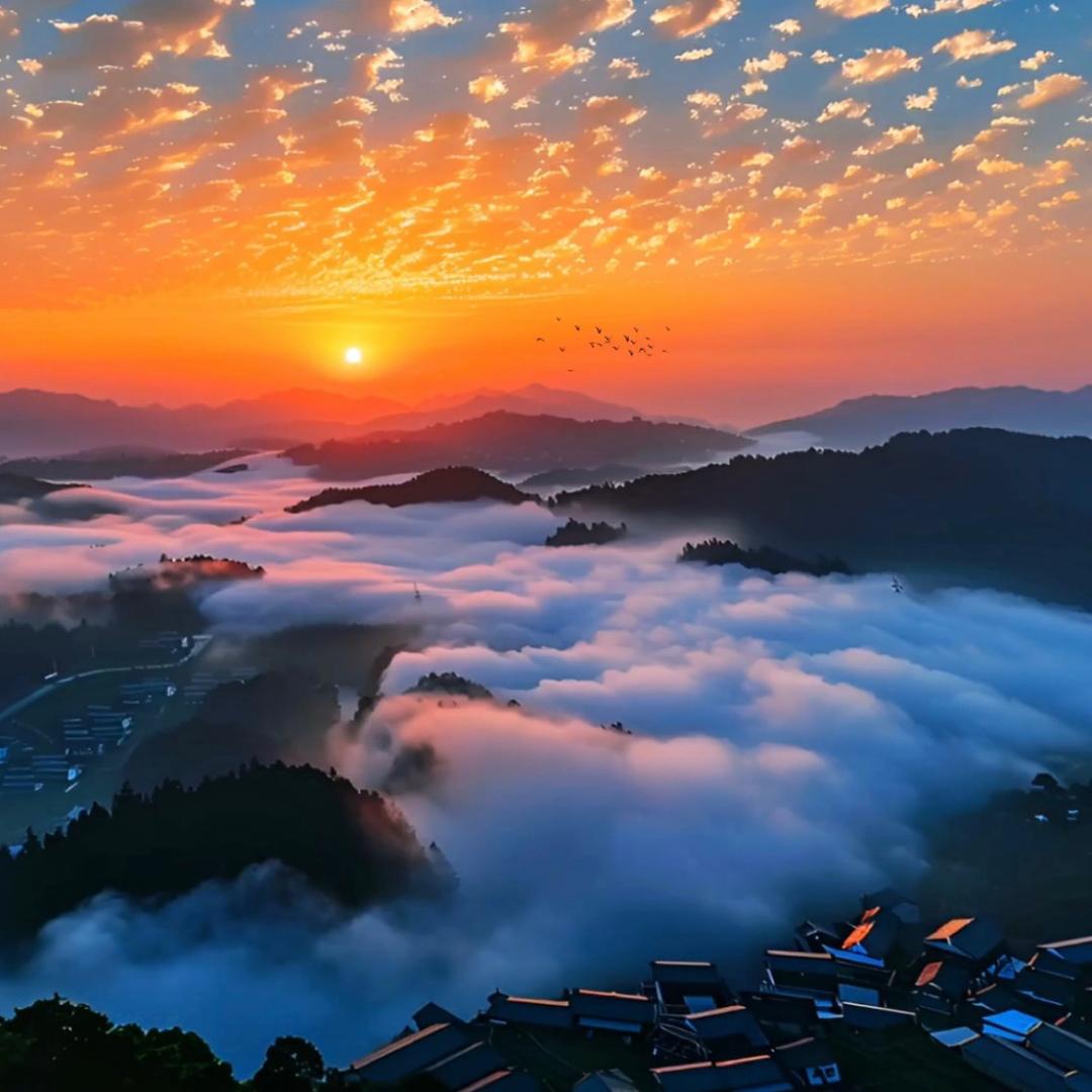 一日看尽长安花🚩