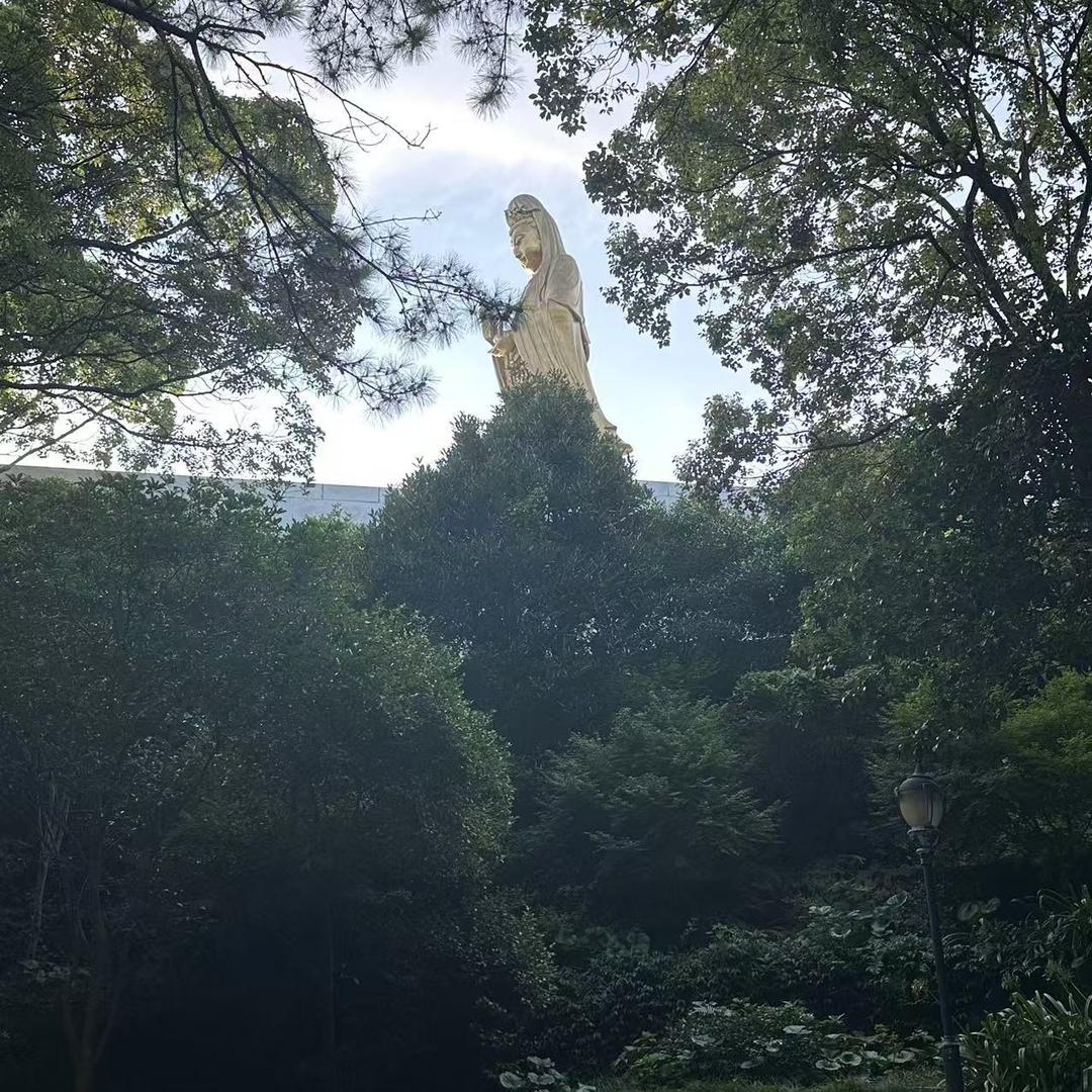 正善2