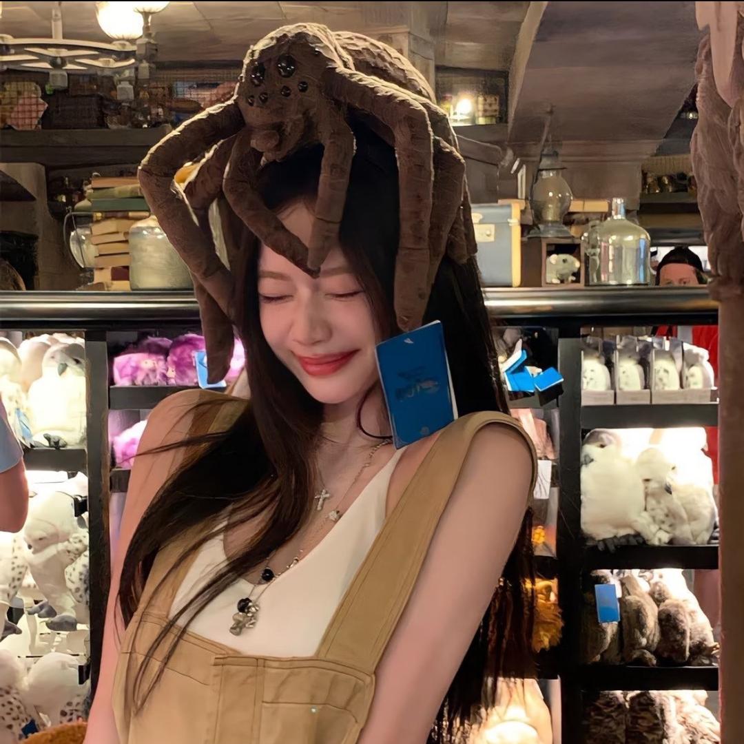 不想变成秃头的猫