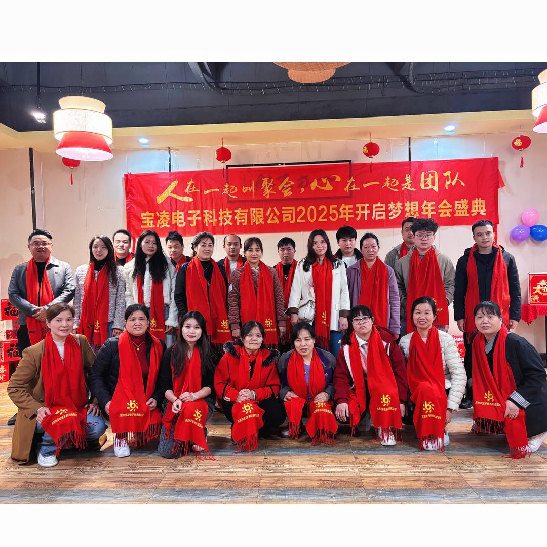 宝凌电子-LED显示屏线材生产商