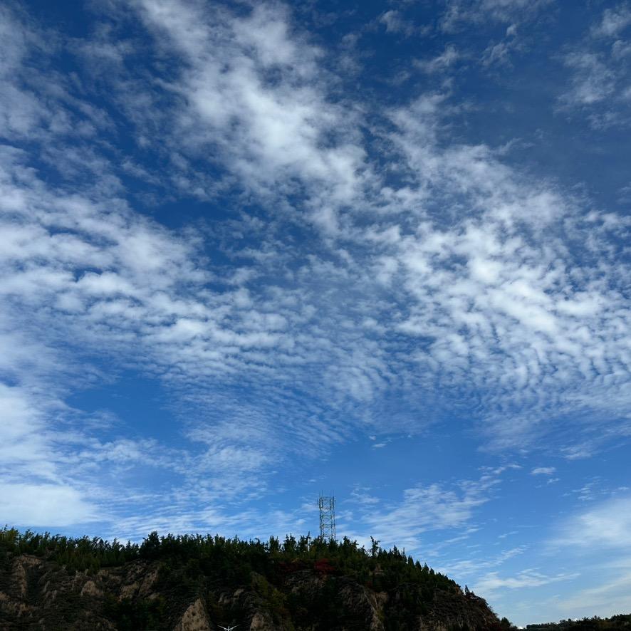 阳阳