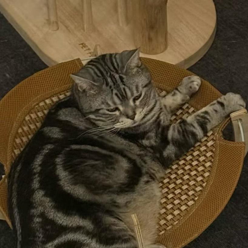 🐟香肉丝 •︡ ‿ •︠ᐝ