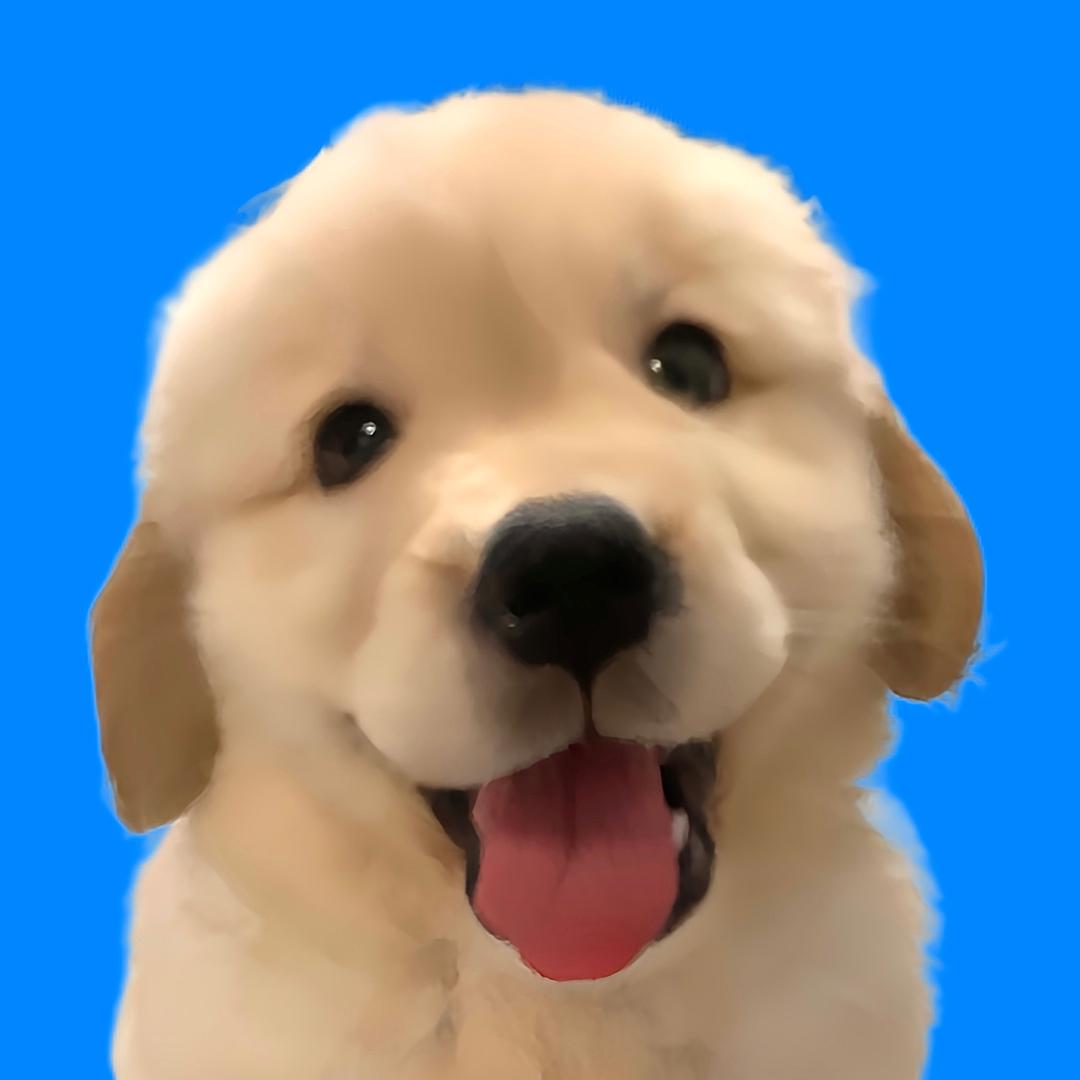 小斗炸炸