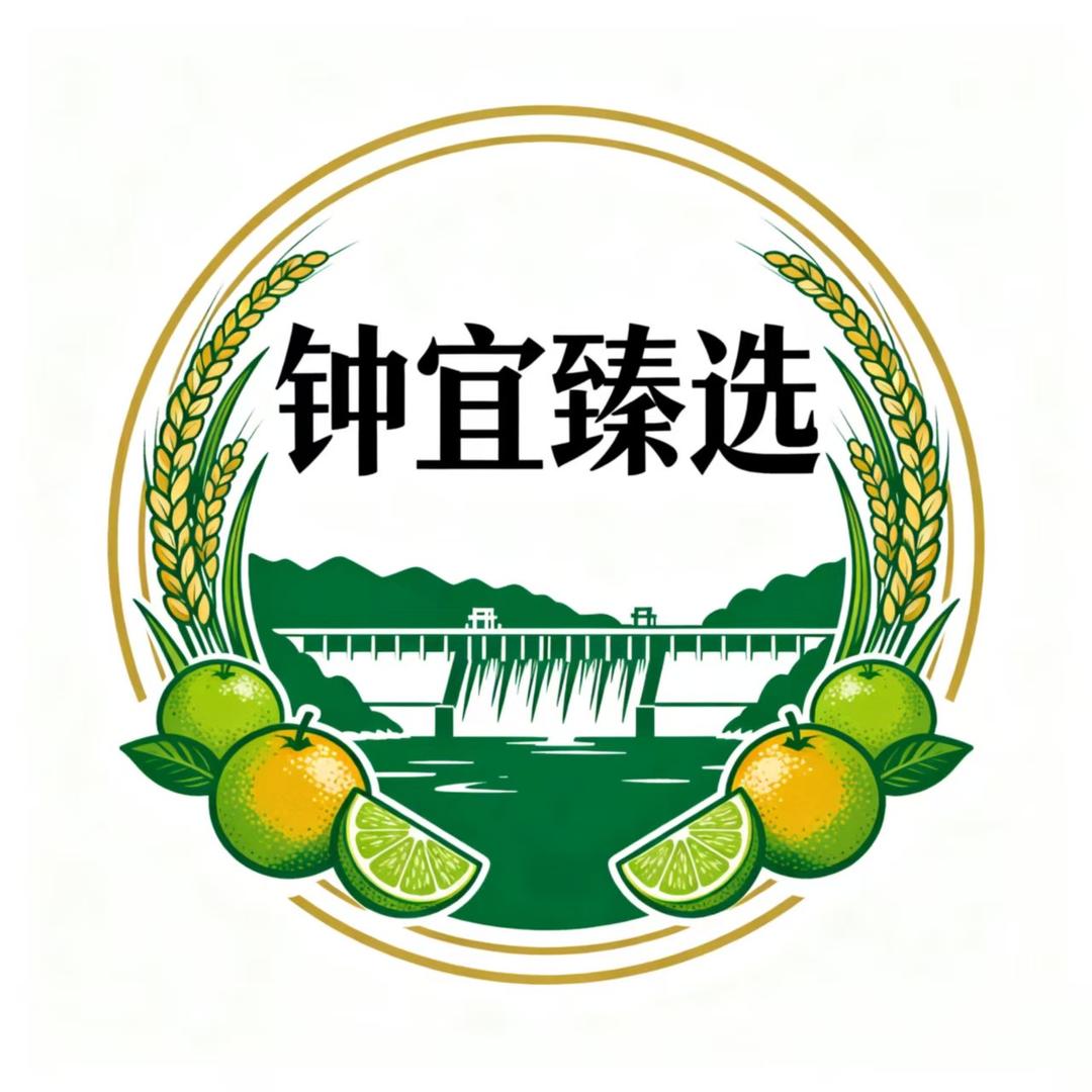 钟宜臻选小丽