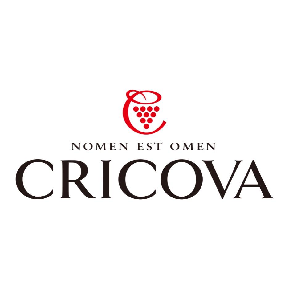 Cricova地下酒庄来自摩尔多瓦