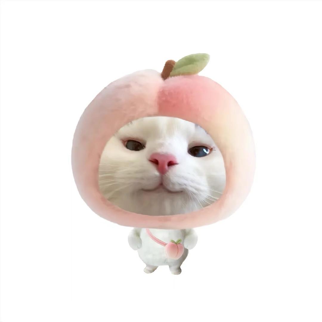 🌷.雨露🍑
