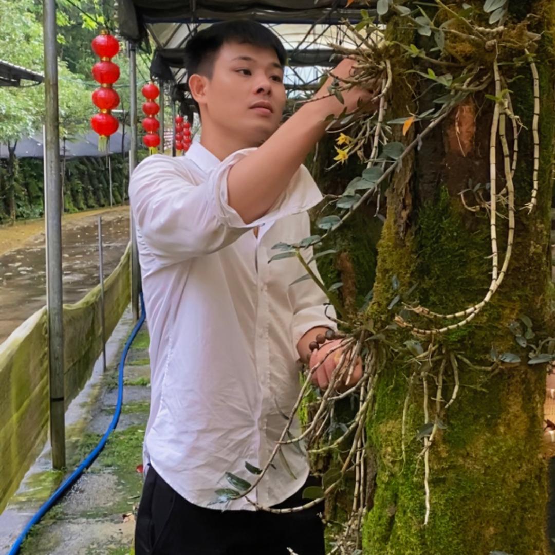 阿宏（农特产）