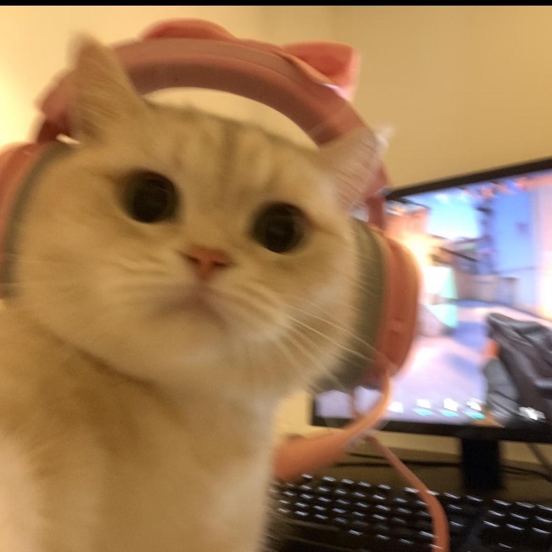 Hello Kitty🐱