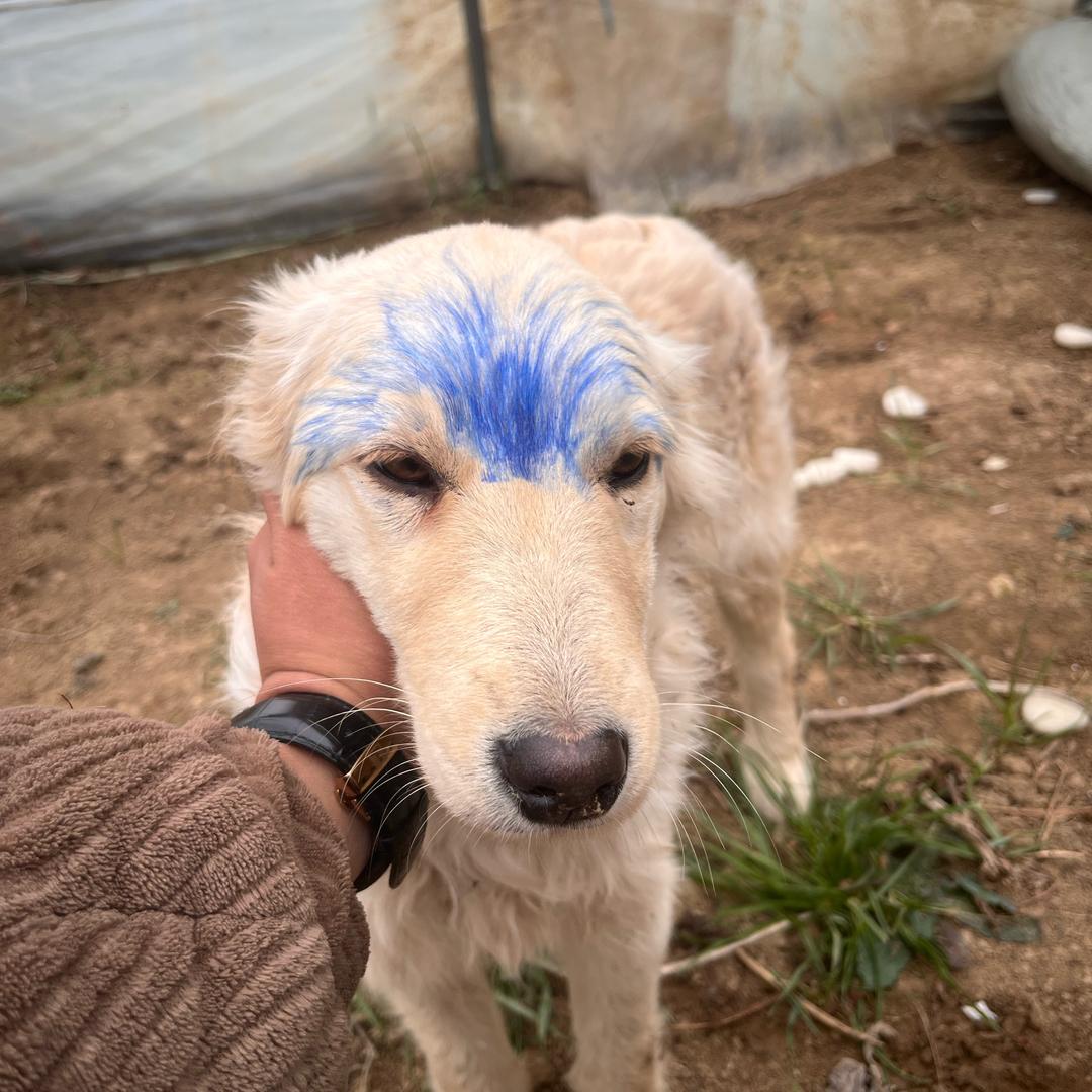 世界太脏 不看也罢