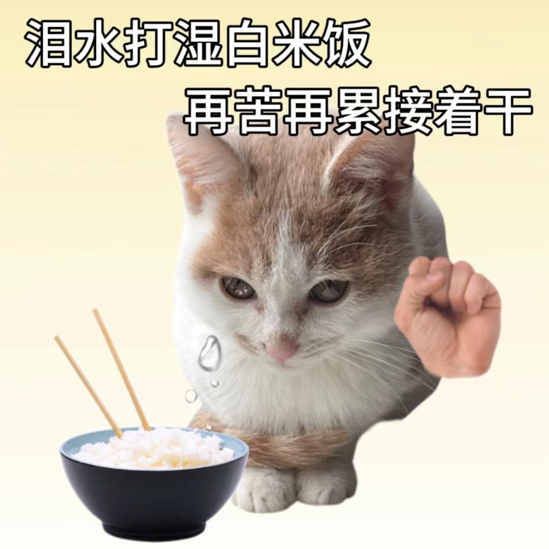 灰太狼大王