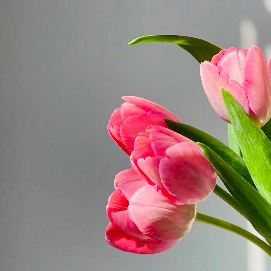 花生米